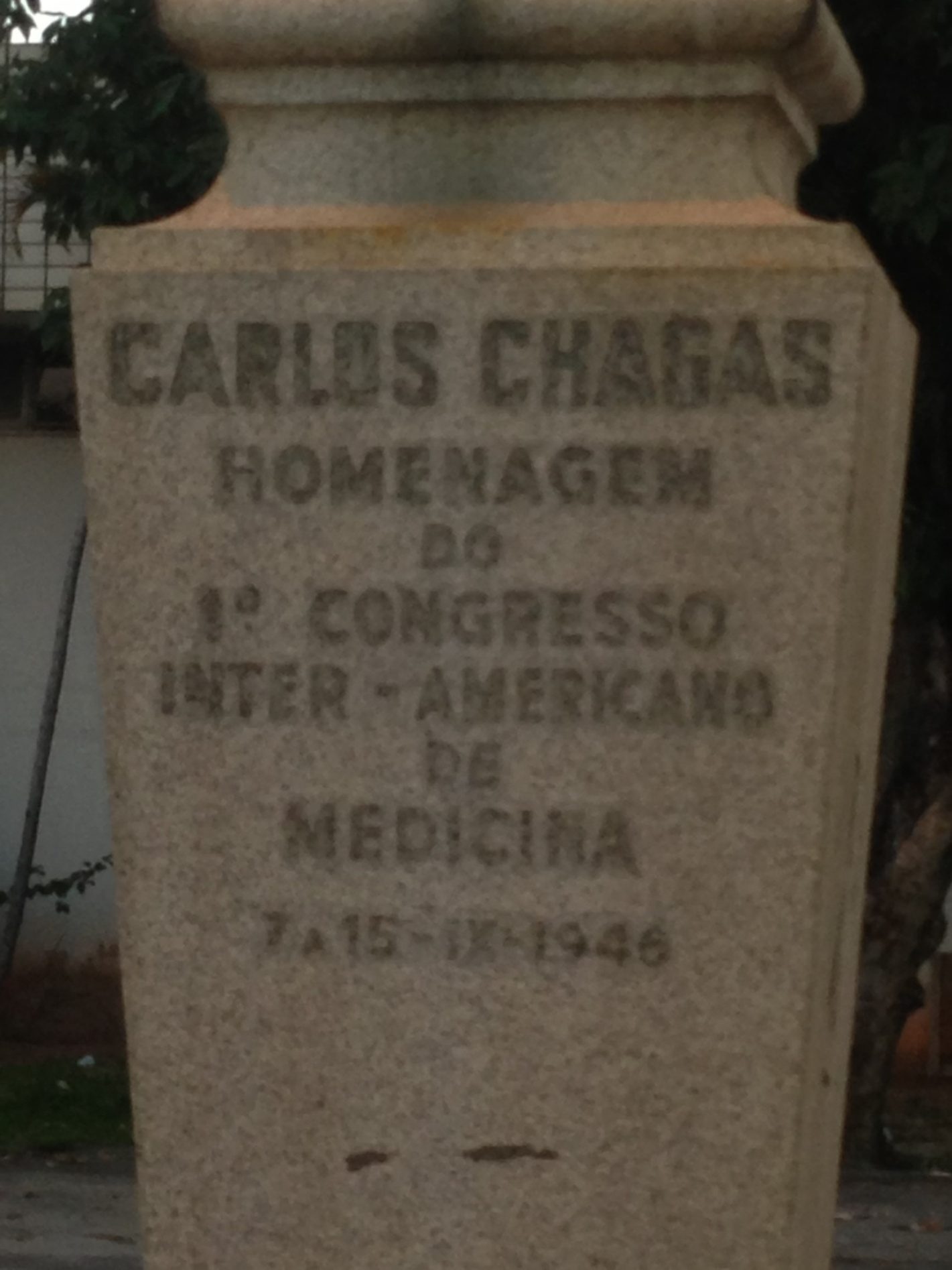 Carlos%20Chagas%27%20bust%20%287%29.JPG